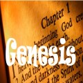 Genesis 2:1-25 - Made in the image of God